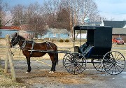 State Troopers Stop Runaway Horse and Buggy, Neither Horse Nor Buggy Made By Toyota
